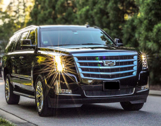 back Cadillac Escalade driving down a tree-lined road