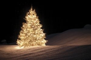outdoor Christmas tree covered in white lights on snow-covered ground at night